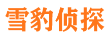 光山市私家侦探